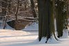 Snowy park