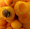 apricot orange