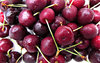 fresh cherries