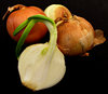 onions