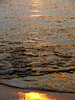 golden seashore
