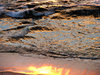 golden seashore