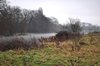 Mist on River Thames