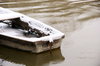 Winter at the Danube