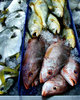 at the fish market