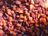raisins texture 2