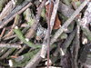 Sticks