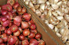 garlic and shallots