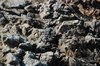 Rocks texture 8