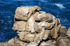 Rocks & ocean 1