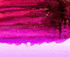 Watercolour 5