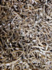 dried white bait