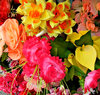 false flower