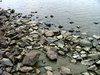 Rocks and water
