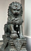 lion luck