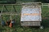 Hen coop