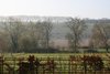 View from a rural house
