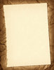 Torn Paper