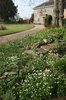 Rockery garden