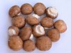 organic mushrooms 2
