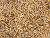 oat texture