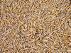 oat texture 3