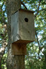 Birdhouse