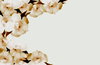 Floral Border New 3