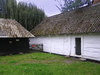 Old shed