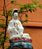 placid deity