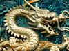 dragon closeup