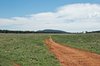 country