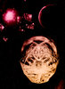 Positronic Brain