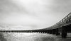 Tay Rail Bridge