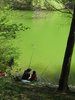 fishing in the pond