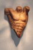 Torso
