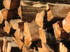 piled wood
