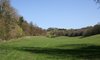 English meadow in spring