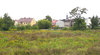 Village fields