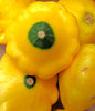 mini squash