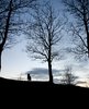 Alone on the hill