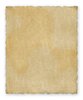 Ancient Parchment 2