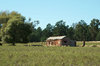 rural