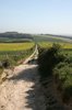 Long walk home 2