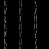 Chromosomes 2