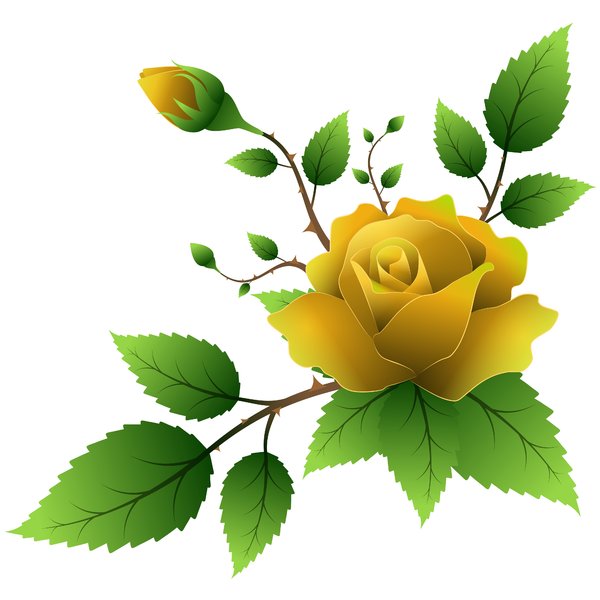 clipart yellow roses free - photo #20