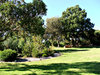 memorial park