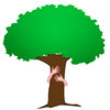 Hug the Tree