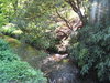 sun beams