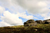 Yorkshire Moors